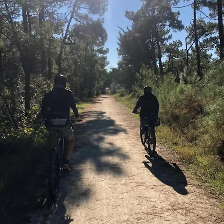 Villabellevue 度假居 *